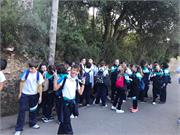 IMG-20191104-WA0039